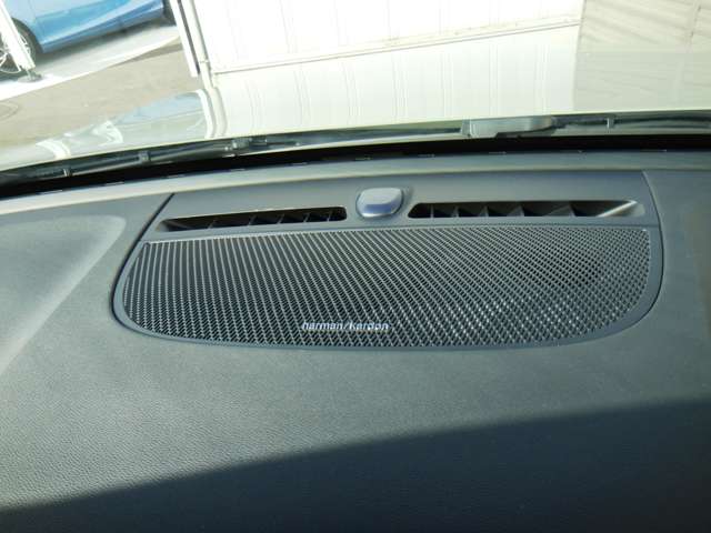 ボルボ ＸＣ４０リチャージ アルティメット シングルモーター R5年 (東北) 99