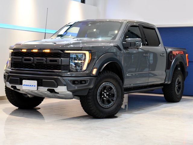 フォード Ｆ１５０ ラプター R5年 (関東) 99