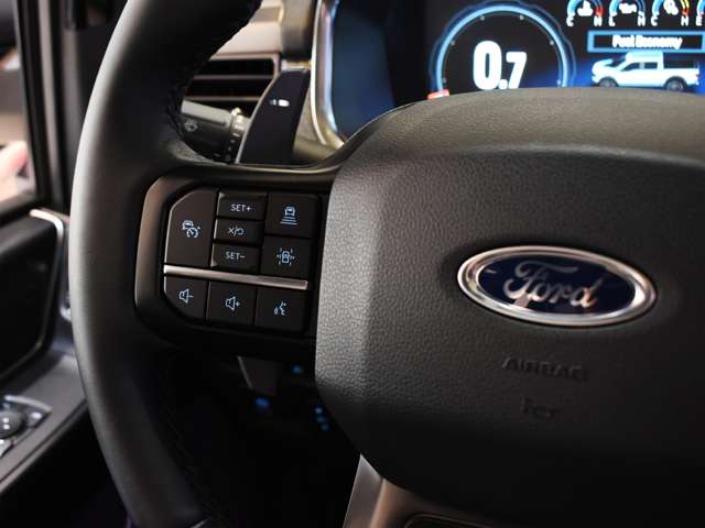 フォード Ｆ１５０ ラプター R5年 (関東) 99