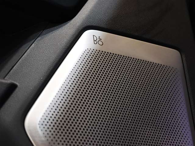 フォード Ｆ１５０ ラプター R5年 (関東) 99