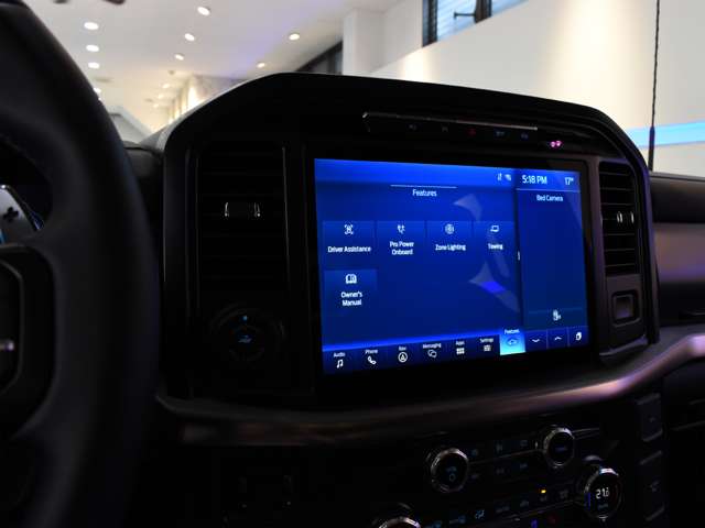 フォード Ｆ１５０ ラプター R5年 (関東) 99