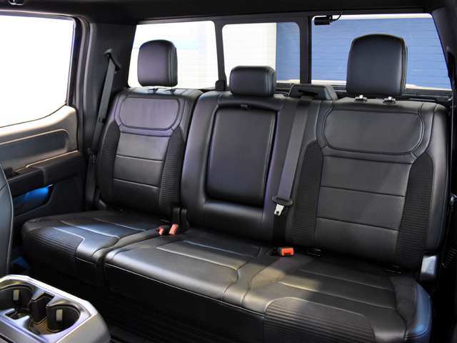 フォード Ｆ１５０ ラプター R5年 (関東) 99