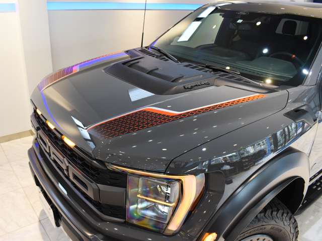 フォード Ｆ１５０ ラプター R5年 (関東) 99