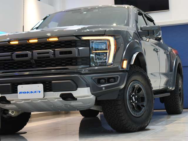 フォード Ｆ１５０ ラプター R5年 (関東) 99