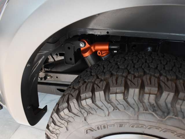 フォード Ｆ１５０ ラプター R5年 (関東) 99