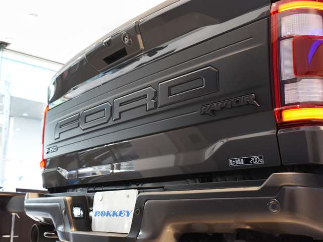 フォード Ｆ１５０ ラプター R5年 (関東) 99