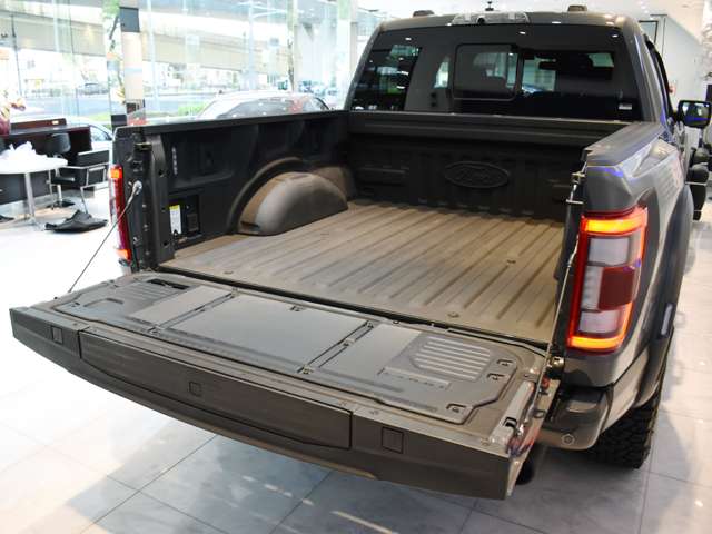 フォード Ｆ１５０ ラプター R5年 (関東) 99