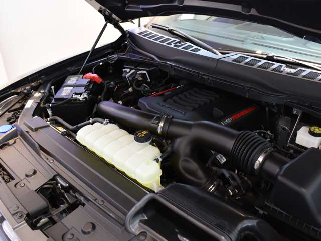 フォード Ｆ１５０ ラプター R5年 (関東) 99