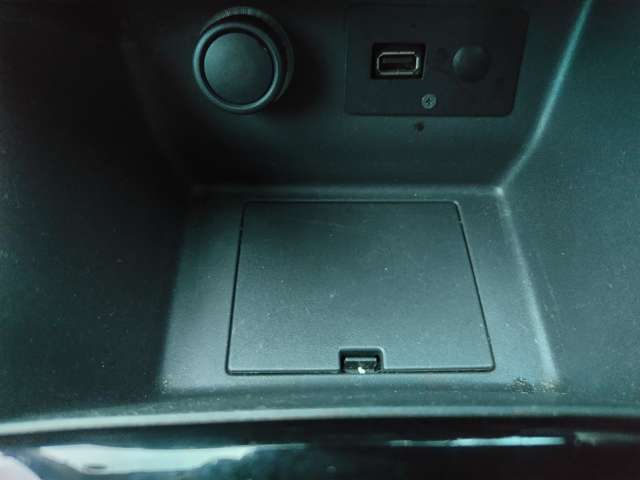 ルノー ルーテシア インテンス H29年 (東北) 99