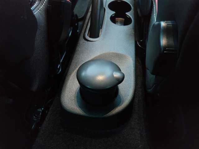 ルノー ルーテシア インテンス H29年 (東北) 99