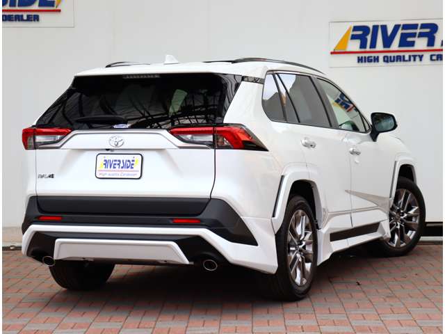 トヨタ ＲＡＶ４ ２．０ Ｇ Ｚパッケージ ４ＷＤ R6年 (関東) 99
