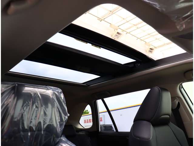 トヨタ ＲＡＶ４ ２．０ Ｇ Ｚパッケージ ４ＷＤ R6年 (関東) 99