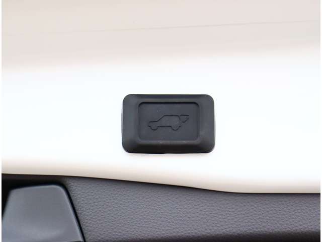 トヨタ ＲＡＶ４ ２．０ Ｇ Ｚパッケージ ４ＷＤ R6年 (関東) 99