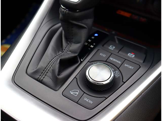 トヨタ ＲＡＶ４ ２．０ Ｇ Ｚパッケージ ４ＷＤ R6年 (関東) 99