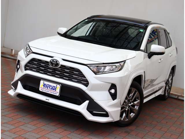 トヨタ ＲＡＶ４ ２．０ Ｇ Ｚパッケージ ４ＷＤ R6年 (関東) 99