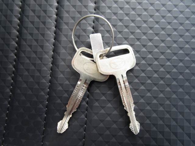 ダイハツ ハイゼットトラック スタンダード農用スペシャル ＣＶＴ ４ＷＤ R6年 (関東) 99