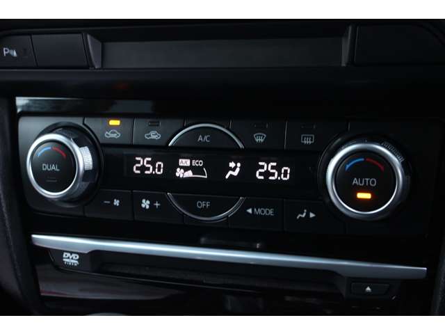 マツダ アテンザ　ワゴン ２．２ ＸＤ プロアクティブ ディーゼルターボ H28年 (関東) 99