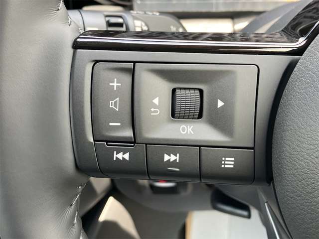 日産 セレナ １．４ Ｅ－ＰＯＷＥＲ ハイウェイスターＶ R6年 (東海) 99