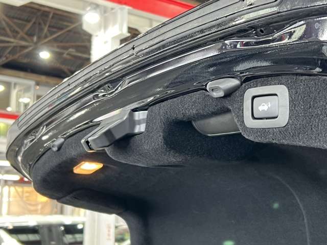 レクサス ＬＳハイブリッド ６００Ｈ バージョンＣ Ｉパッケージ ４ＷＤ H25年 (関東) 99