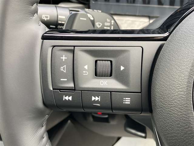 日産 セレナ ２．０ ハイウェイスターＶ Ｖセレクション R6年 (東海) 99