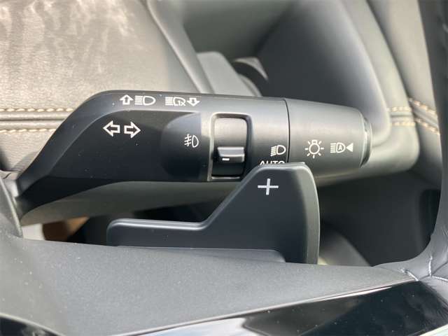 日産 セレナ ２．０ ハイウェイスターＶ Ｖセレクション R6年 (東海) 99