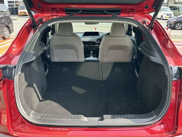 マツダ ＣＸ−３０ ２．０ ２０Ｓ プロアクティブ ツーリングセレクション R2年 (東海) 99