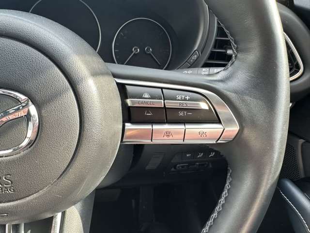 マツダ ＣＸ−３０ ２．０ ２０Ｓ プロアクティブ ツーリングセレクション R2年 (東海) 99