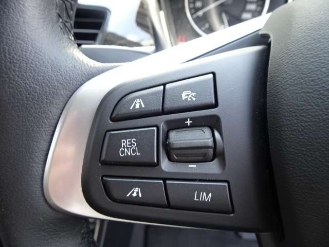 ＢＭＷ Ｘ１ Ｘドライブ ２０Ｉ Ｘライン ４ＷＤ H29年 (近畿) 99