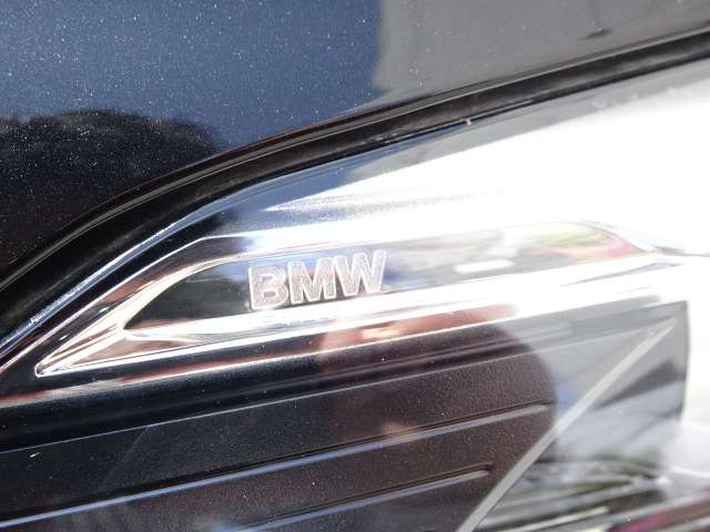 ＢＭＷ Ｘ１ Ｘドライブ ２０Ｉ Ｘライン ４ＷＤ H29年 (近畿) 99