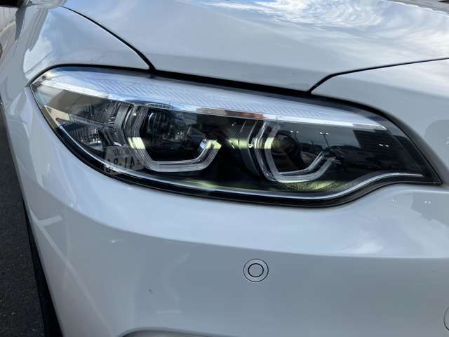 ＢＭＷ ２シリーズ ２２０Ｉ Ｍスポーツ H30年 (近畿) 99