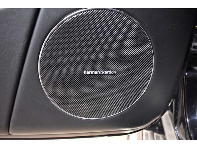 メルセデスベンツ Ｇクラス Ｇ３５０ ブルーテック ロング ディーゼルターボ ４ＷＤ H26年 (関東) 99