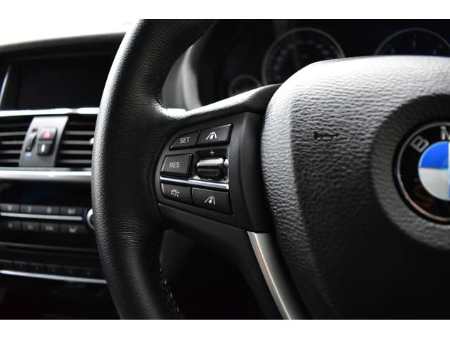 ＢＭＷ Ｘ３ Ｘドライブ２０Ｄ Ｘライン ディーゼルターボ ４ＷＤ H28年 (関東) 99