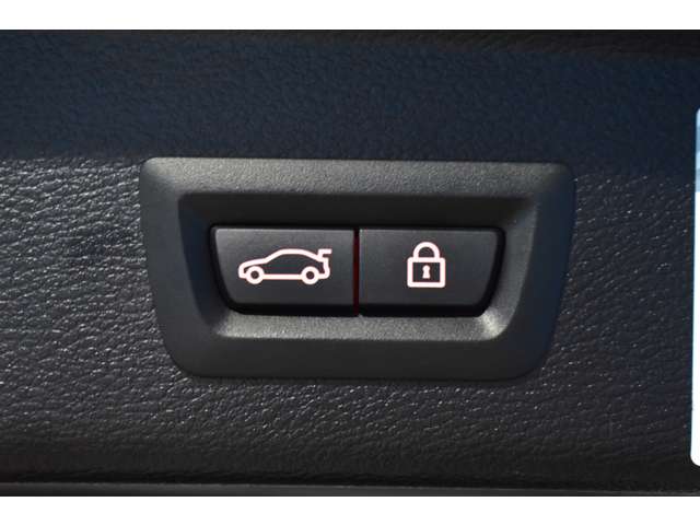 ＢＭＷ Ｘ３ Ｘドライブ２０Ｄ Ｘライン ディーゼルターボ ４ＷＤ H28年 (関東) 99