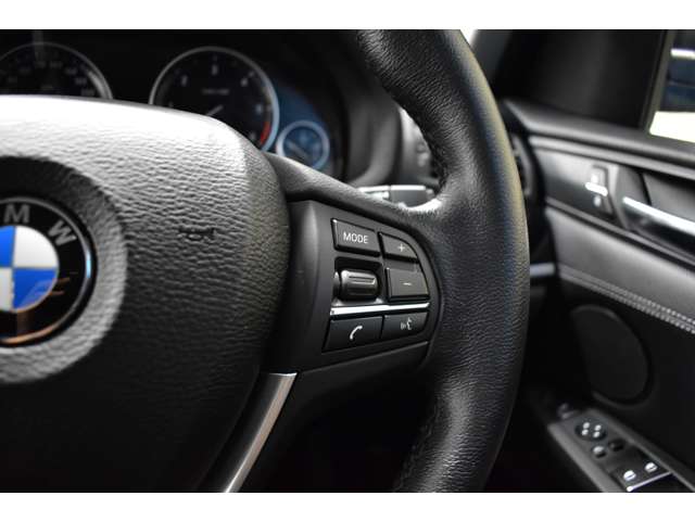 ＢＭＷ Ｘ３ Ｘドライブ２０Ｄ Ｘライン ディーゼルターボ ４ＷＤ H28年 (関東) 99