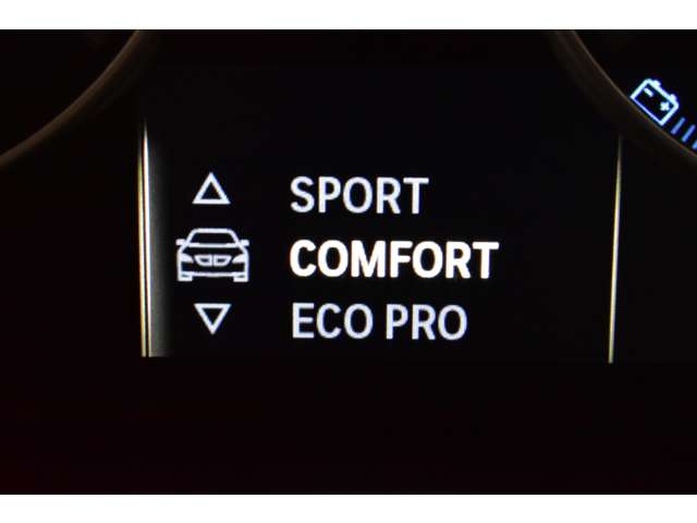 ＢＭＷ Ｘ３ Ｘドライブ２０Ｄ Ｘライン ディーゼルターボ ４ＷＤ H28年 (関東) 99