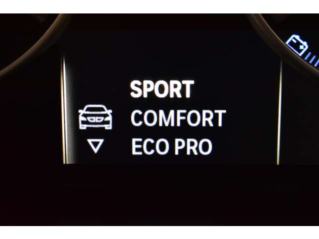 ＢＭＷ Ｘ３ Ｘドライブ２０Ｄ Ｘライン ディーゼルターボ ４ＷＤ H28年 (関東) 99