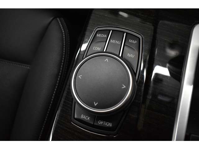 ＢＭＷ Ｘ３ Ｘドライブ２０Ｄ Ｘライン ディーゼルターボ ４ＷＤ H28年 (関東) 99