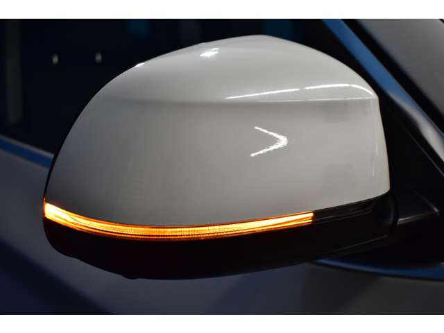 ＢＭＷ Ｘ３ Ｘドライブ２０Ｄ Ｘライン ディーゼルターボ ４ＷＤ H28年 (関東) 99