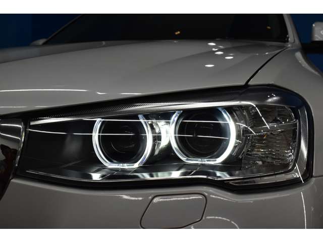 ＢＭＷ Ｘ３ Ｘドライブ２０Ｄ Ｘライン ディーゼルターボ ４ＷＤ H28年 (関東) 99