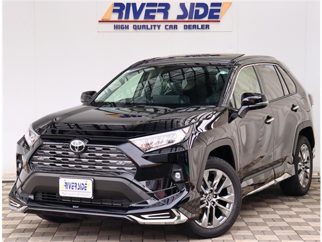 トヨタ ＲＡＶ４ ２．０ Ｇ Ｚパッケージ ４ＷＤ R6年 (関東) 99