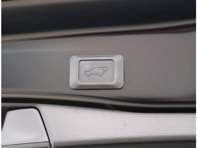 トヨタ ＲＡＶ４ ２．０ Ｇ Ｚパッケージ ４ＷＤ R6年 (関東) 99