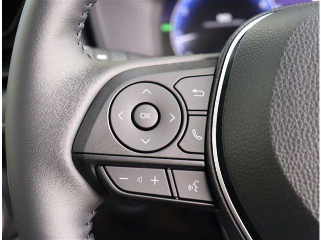 トヨタ ＲＡＶ４ ２．０ Ｇ Ｚパッケージ ４ＷＤ R6年 (関東) 99