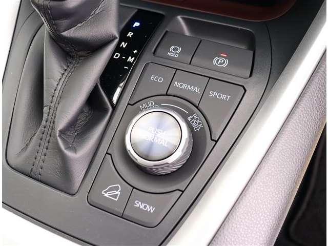 トヨタ ＲＡＶ４ ２．０ Ｇ Ｚパッケージ ４ＷＤ R6年 (関東) 99