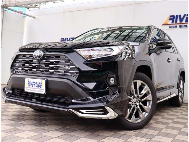 トヨタ ＲＡＶ４ ２．０ Ｇ Ｚパッケージ ４ＷＤ R6年 (関東) 99