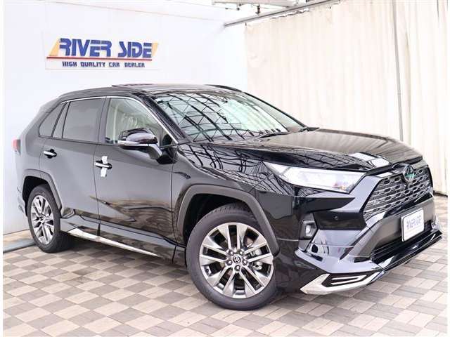 トヨタ ＲＡＶ４ ２．０ Ｇ Ｚパッケージ ４ＷＤ R6年 (関東) 99