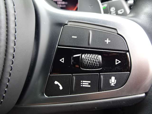 ＢＭＷ ３シリーズ ３１８Ｉ Ｍスポーツ R3年 (近畿) 99