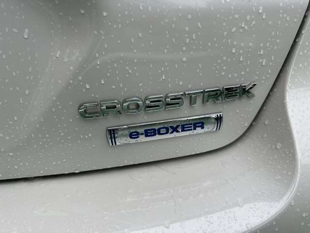 スバル クロストレック ２．０ ツーリング ４ＷＤ R5年 (東海) 99
