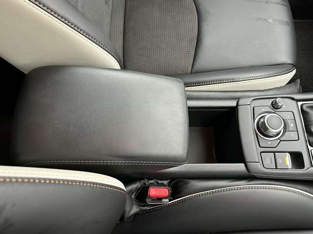 マツダ ＣＸ−３ １．５ １５Ｓ スーパー エッジー R5年 (東海) 99