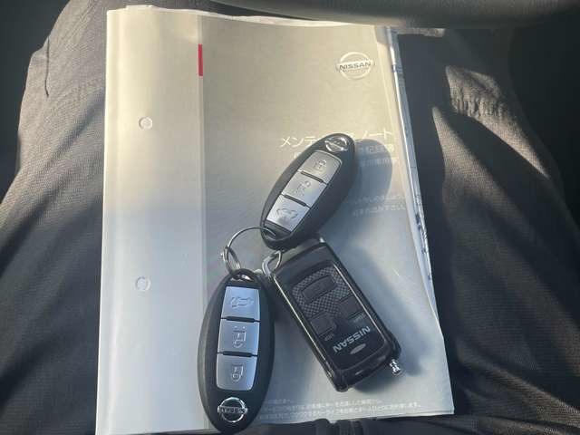 日産 エクストレイル ２．０ ２０Ｘ エクストリーマーＸ ２列車 ４ＷＤ R1年 (東北) 99