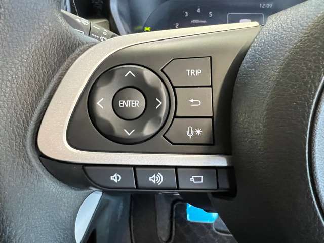 トヨタ ライズ １．０ Ｇ ４ＷＤ R4年 (東北) 99